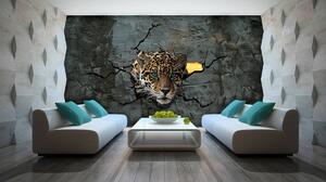 Fototapeta - Jaguar za múrom (152,5x104 cm)