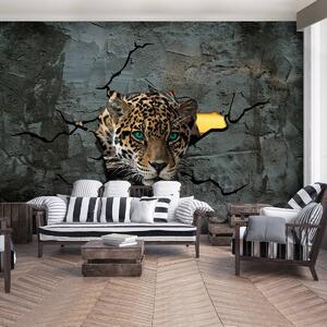 Fototapeta - Jaguar za múrom (152,5x104 cm)