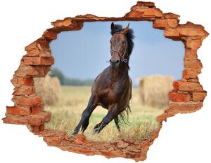 Nálepka 3D diera na stenu Cválajícím konoch
