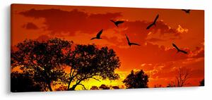 Obraz vtákov pri západe slnka (120x50 cm)