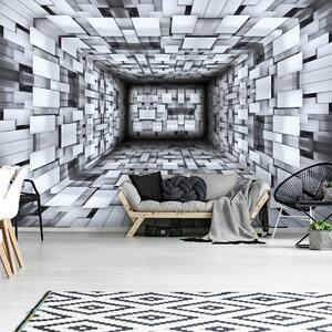 Fototapeta - Koridor 3D (254x184 cm)