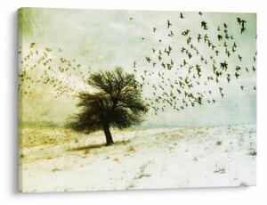 Obraz - Maľovaný kŕdeľ vtákov (70x50 cm)