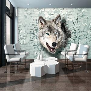 Fototapeta - Vlk vychádza z 3D steny (152,5x104 cm)