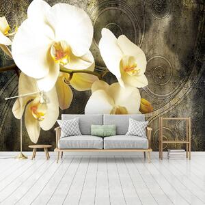 Fototapeta - Orchidea (152,5x104 cm)