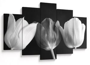 Obraz - Čiernobiele kvety tulipánov (150x105 cm)
