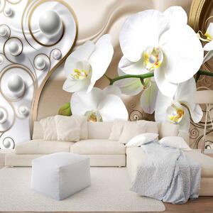 Fototapeta - Biela orchidea (152,5x104 cm)