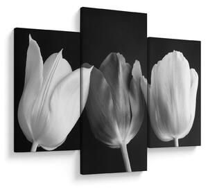 Obraz - Čiernobiele kvety tulipánov (90x60 cm)