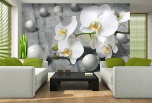 Fototapeta - Biela orchidea (254x184 cm)