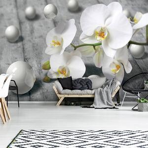 Fototapeta - Biela orchidea (152,5x104 cm)