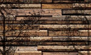 Fototapeta - Tiene stromov na drevených doskách (152,5x104 cm)