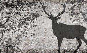 Fototapeta - Tieň jeleňa na šedej stene (254x184 cm)
