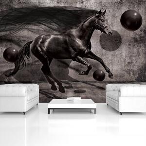 Fototapeta - Čierny kôň (152,5x104 cm)