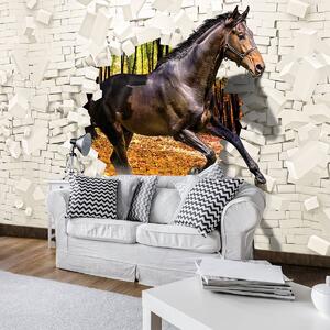 Fototapeta - Kôň vyskočil zo steny - 3D (152,5x104 cm)