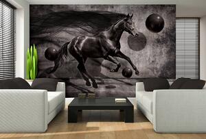 Fototapeta - Čierny kôň (152,5x104 cm)