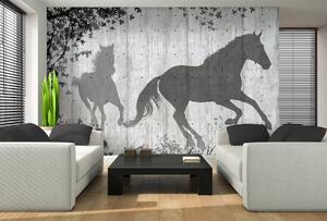 Fototapeta - Tiene koní na šedej stene (152,5x104 cm)