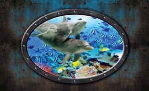 Fototapeta - Delfíny v akváriu (254x184 cm)