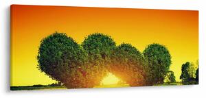 Obraz - Srdce v korunách stromov (120x50 cm)