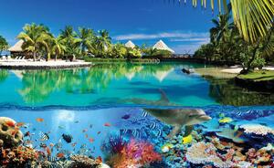 Fototapeta - Koralový útes a Maldivy (254x184 cm)