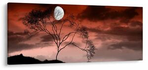 Obraz - Mesiac osvetľujúce noc (120x50 cm)