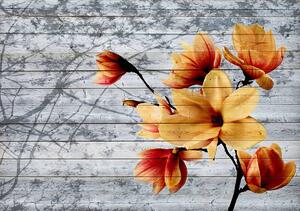 Fototapeta - Oranžové kvety na drevených doskách (152,5x104 cm)