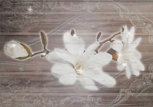 Fototapeta - Kvety na drevenom podklade (254x184 cm)