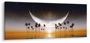Obraz - Mesiac nad palmami (120x50 cm)