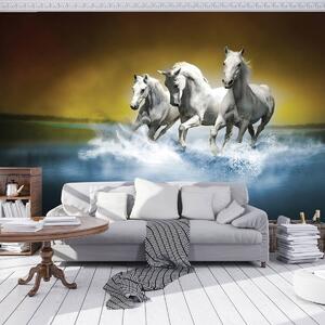 Fototapeta - Biely kôň tryskom na vode (254x184 cm)