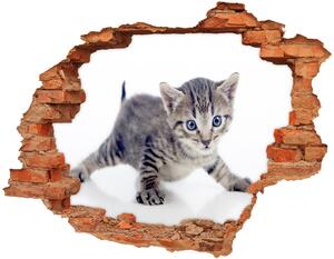 Samolepiaca nálepka na stenu Malá mačka nd-c-95620650