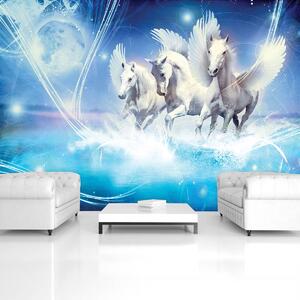 Fototapeta - Pegasus na modrom pozadí (254x184 cm)