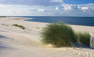 Fototapeta - Pláž Severného mora (152,5x104 cm)