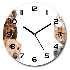 Sklenené hodiny okrúhle Psy a mačky pl_zso_30_f_104206550