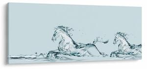 Obraz - Kone z kvapiek vody (120x50 cm)