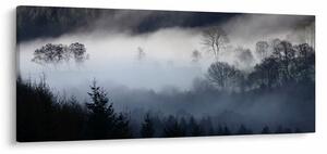 Obraz hmly nad lesom (120x50 cm)
