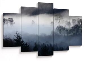 Obraz hmly nad lesom (150x105 cm)