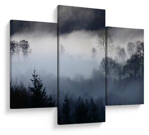 Obraz hmly nad lesom (90x60 cm)