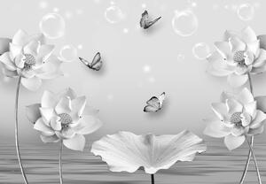 Fototapeta - Biela lúka s motýľmi (147x102 cm)