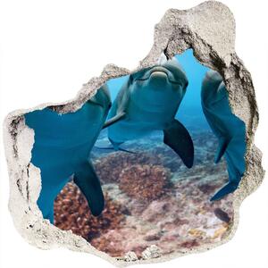 Fotoobraz diera na stenu Delfíny nd-p-119968154