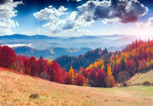 Fototapeta - Jesenné lesy (147x102 cm)