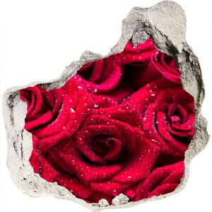 Diera 3D fototapety na stenu Kvapky na ružiach