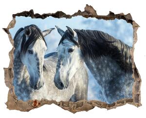 Díra 3D fototapeta nálepka Gray kone v zime nd-k-116887257