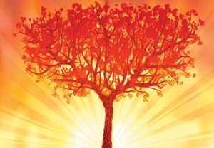 Fototapeta - Strom v žiari slnka (147x102 cm)