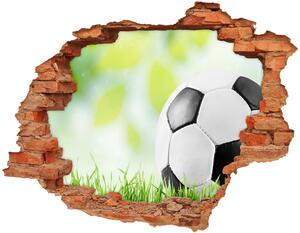 Fototapeta diera na stenu 3D Futbal nd-c-80877842