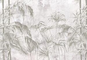 Fototapeta - Tropické rastliny (147x102 cm)
