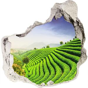 Fototapeta diera na stenu 3D Čajové plantáže