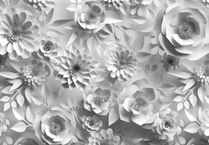 Fototapeta - Biele kvety (147x102 cm)