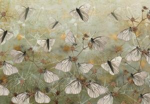 Fototapeta - Vintage motýle (147x102 cm)
