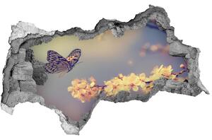 Fototapeta diera na stenu Čerešňový kvet a motýľ