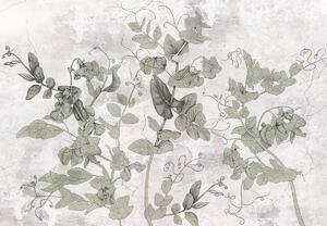 Fototapeta - Rastliny v omietke (147x102 cm)