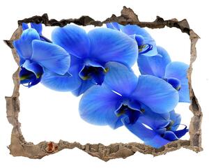 Samolepící díra nálepka Modrá orchidea nd-k-91549599