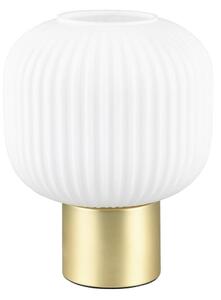 STOLNÁ LAMPA, E27, 20/26 cm Trio Leuchten - Interiérové svietidlá